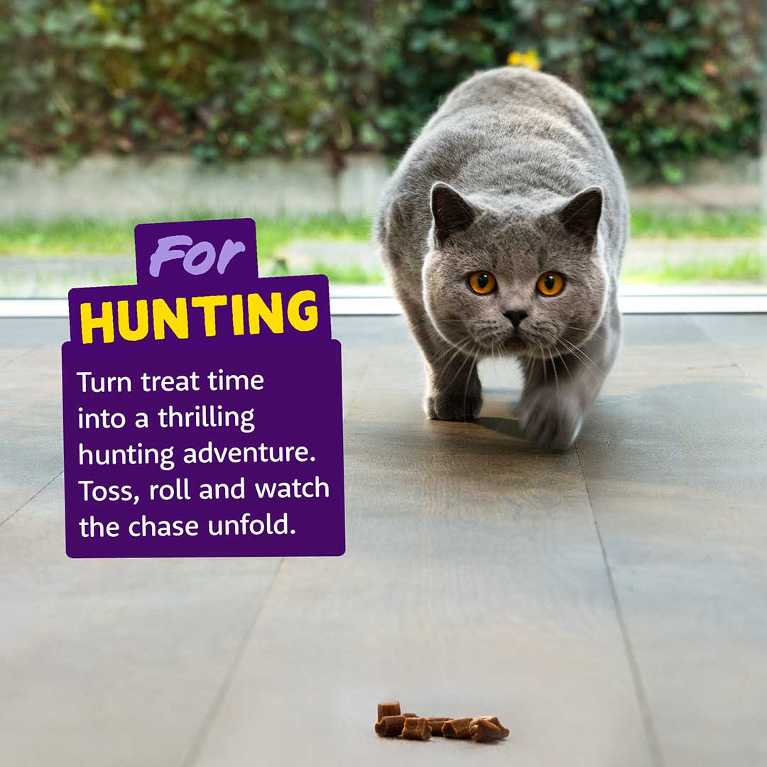 Edgard & Cooper Cat Treats - Chicken & Turkey Rolls - 45g