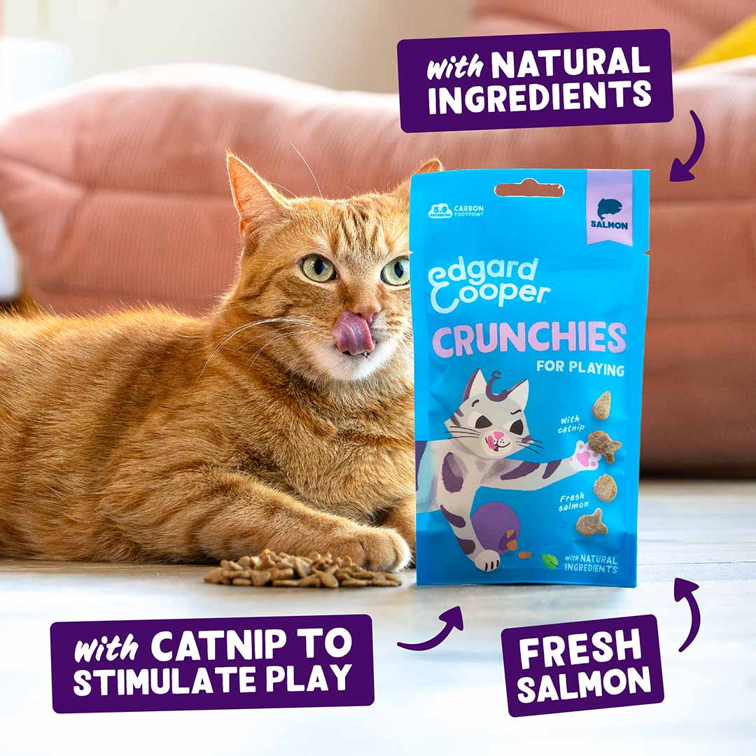 Edgard & Cooper Cat Treats - Salmon Crunchies - 50g