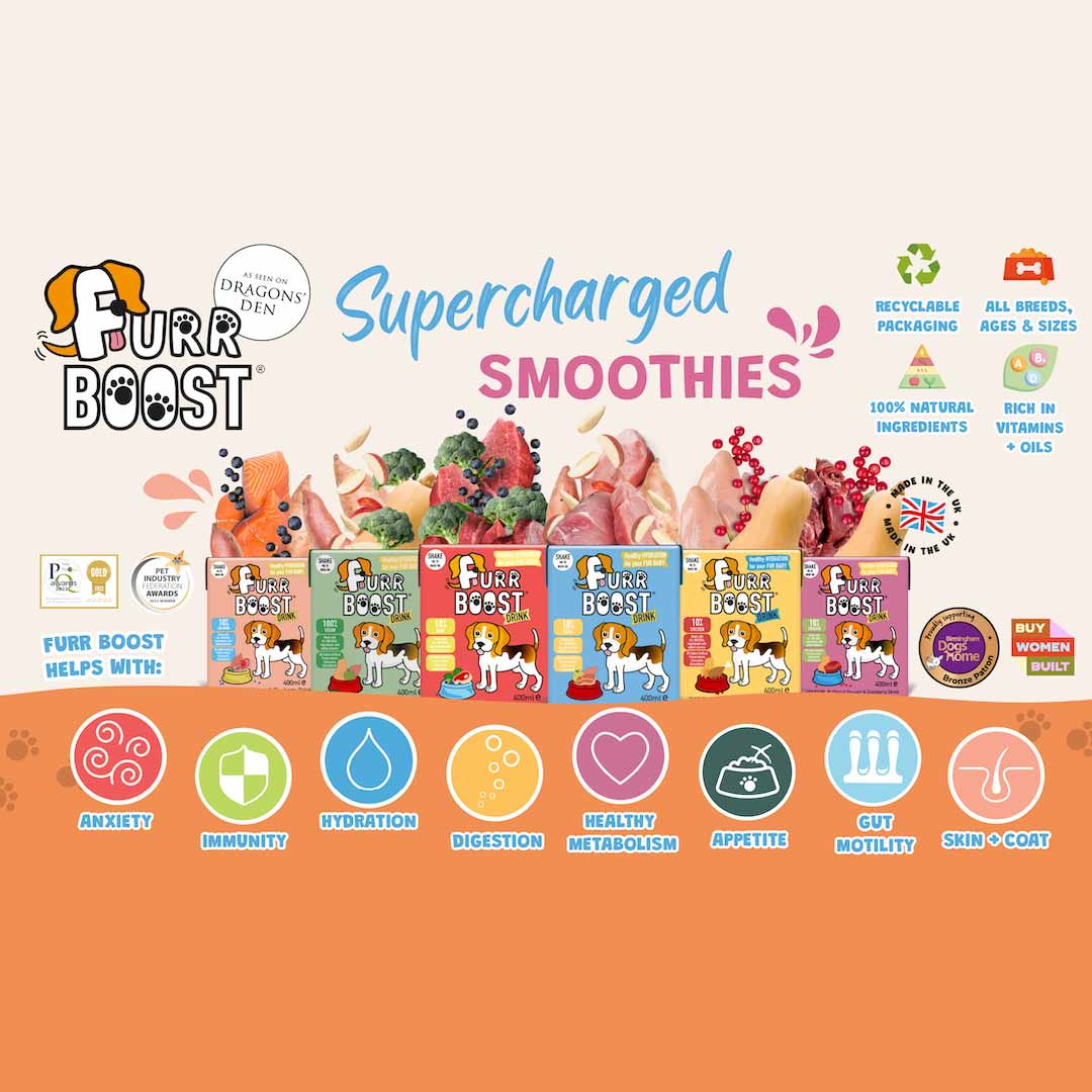 Furr Boost Hydration Drink for Dogs - Beef, Broccoli & Blueberry
