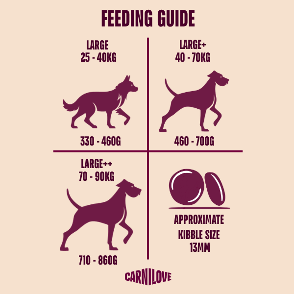 Carnilove Active Large Breed Adult Dry Dog Food - Salmon & Turkey