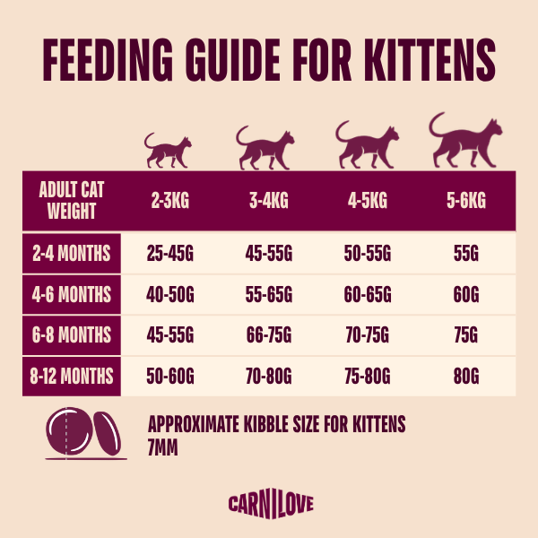 Carnilove Active Kitten Dry Cat Food - Salmon & Turkey