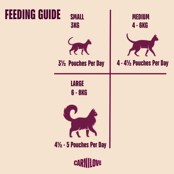 Carnilove Adult Wet Cat Food Pouches - Duck with Catnip in Jelly