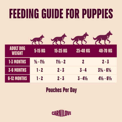 Carnilove Grain Free Puppy Wet Dog Food - Salmon with Blueberries - 12x300g Pouches