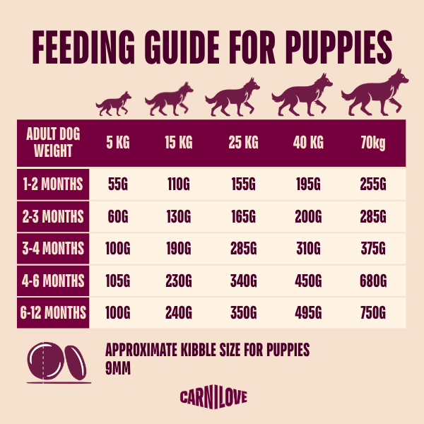 Carnilove True Fresh Puppy Dry Dog Food - Fresh Duck
