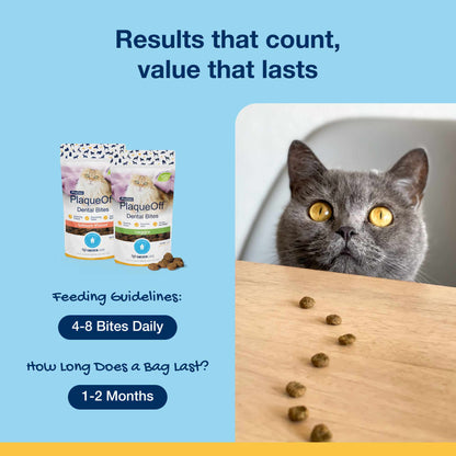 Plaque Off Dental Care Cat Treats - Salmon Bites