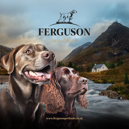 Ferguson Scottish Salmon Senior Dry Dog Food