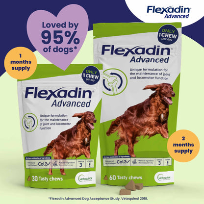 Flexadin Advanced Joint for Dogs - 60 Chewable Tablets