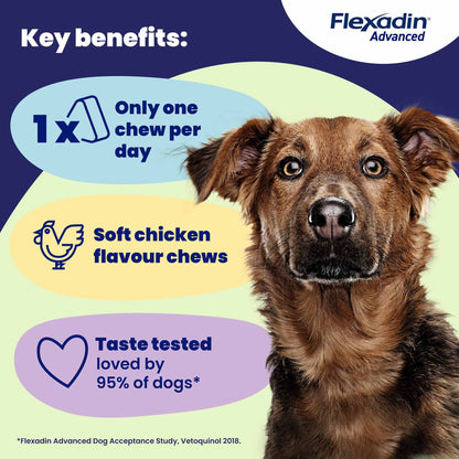 Flexadin Advanced Joint for Dogs - 60 Chewable Tablets