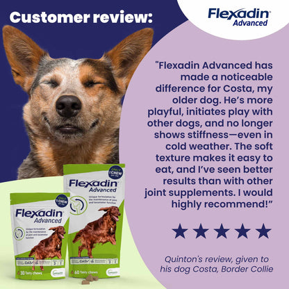 Flexadin Advanced Joint for Dogs - 60 Chewable Tablets