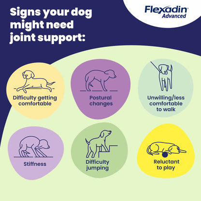 Flexadin Advanced Joint for Dogs - 60 Chewable Tablets