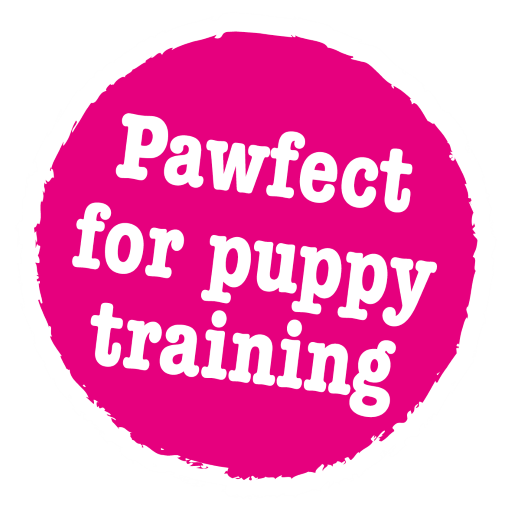 Little BigPaws Little Tricks Dog Training Treats - 90g