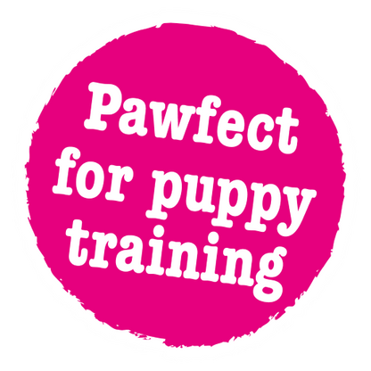 Little BigPaws Little Tricks Dog Training Treats - 90g