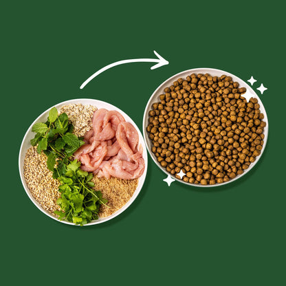 Green Pantry Dental Dry Dog Food - Turkey, Mint & Parsley