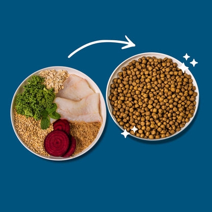 Green Pantry Weight Control Dry Dog Food - White Fish, Kale & Beetroot