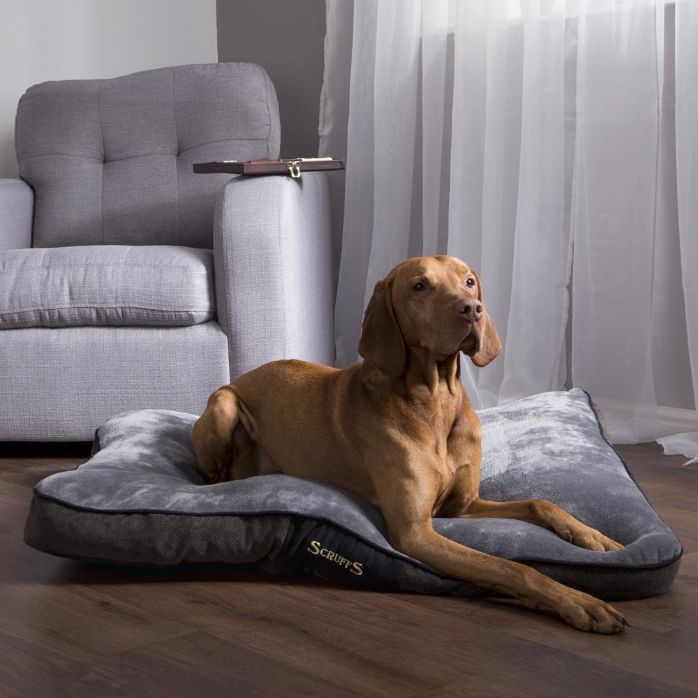 Scruffs Chester Mattress Dog Bed - Graphite Grey