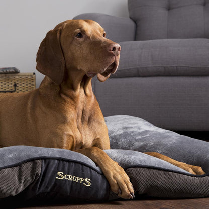 Scruffs Chester Mattress Dog Bed - Graphite Grey