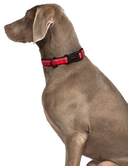 Halti Comfort Dog Collar  - Red