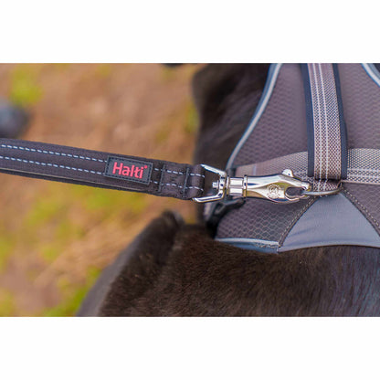 Halti BRIG Safety Neon Large Dog Lead Neon - Coral