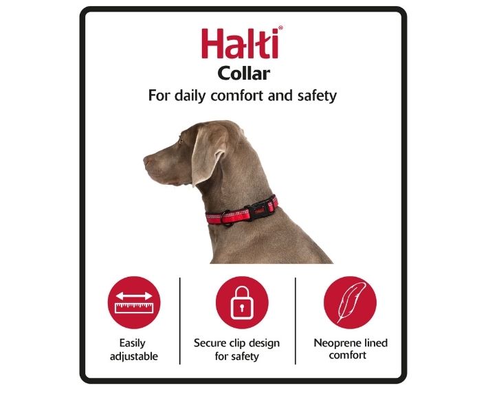Halti Comfort Dog Collar  - Black