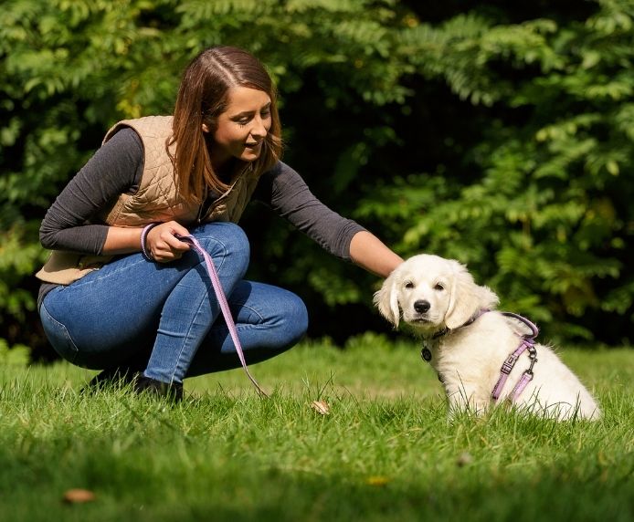 Halti Double Ended Large Dog Lead - Black