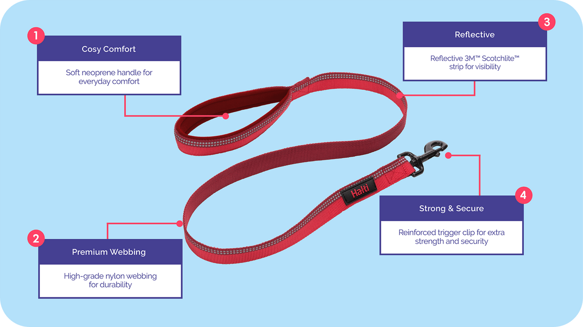 Halti Double Ended Large Dog Lead - Black