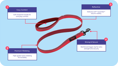 Halti Double Ended Large Dog Lead - Black