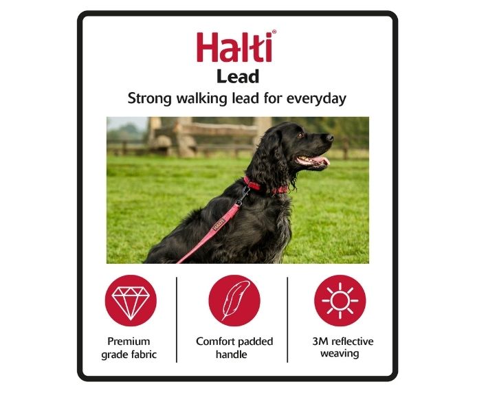 Halti Double Ended Large Dog Lead - Black