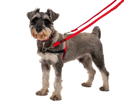 Halti Training Dog Lead - Red
