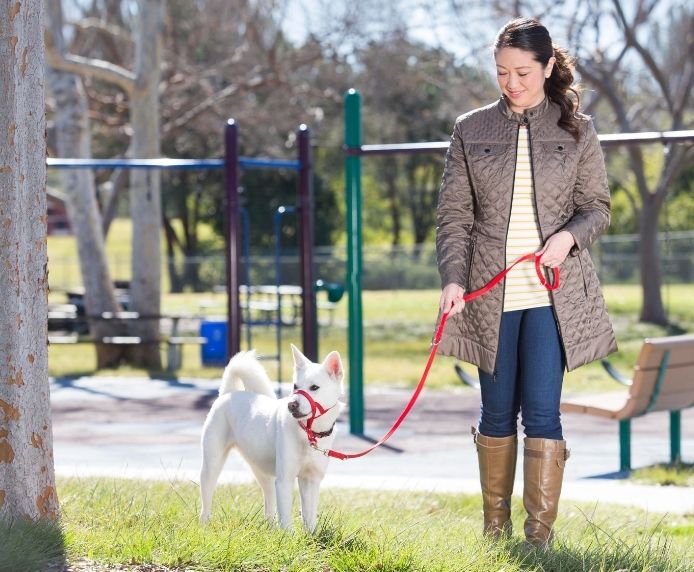 Halti Training Dog Lead - Red