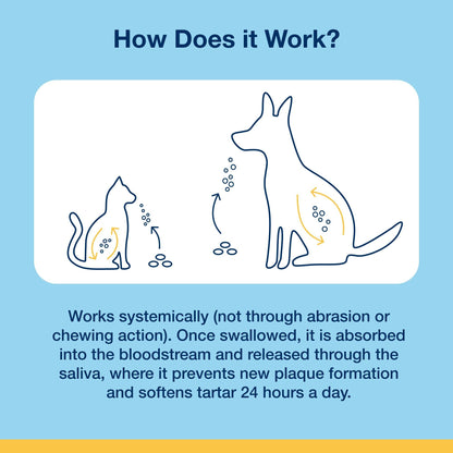 Plaque Off Dental Care Cat Treats - Salmon Bites