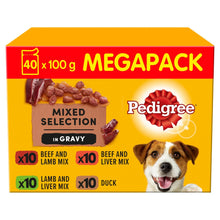 PEDIGREE Adult Wet Dog Food in Gravy - MEGA PACK - Mixed Meat Selection - 40x100g Pouches