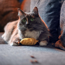 BAM! Catnip Lisa Lemon Cat Toy