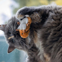 Wild Hunter Squirrel Cat Toy