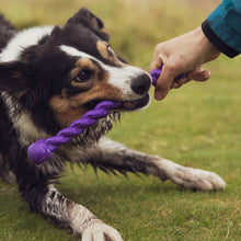 Barkshire Tug Toy - Purple