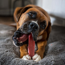 Thistlers Yak Dog Chew - Large - Strawberry