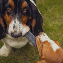 Thistlers Yak Dog Chew - Medium - Blueberry