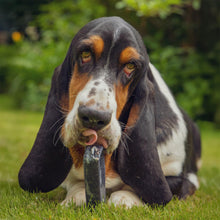 Thistlers Yak Dog Chew - Large - Blueberry