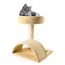 Purrshire Kitten Activity Centre
