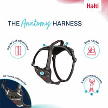 Halti Anatomy Dog Harness - Grey