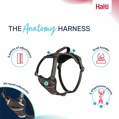 Halti Anatomy Dog Harness - Teal