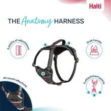Halti Anatomy Dog Harness - Magenta