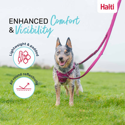 Halti Anatomy Dog Multi Lead - Grey