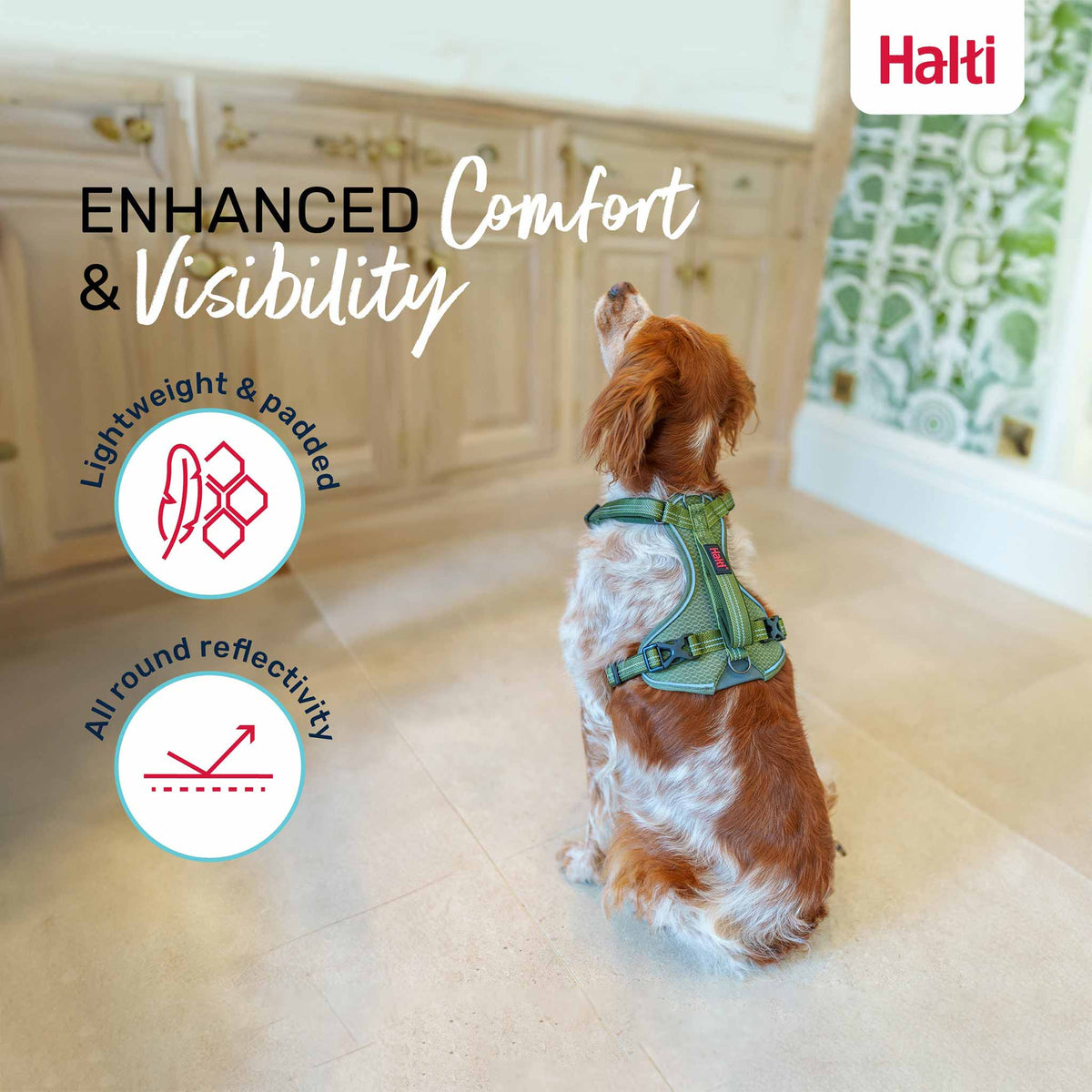 Halti Anatomy Dog Harness - Grey