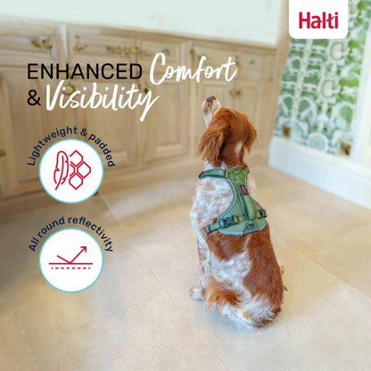 Halti Anatomy Dog Harness - Teal