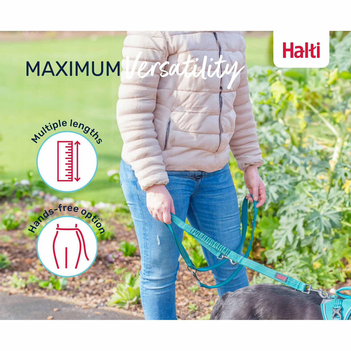 Halti Anatomy Dog Multi Lead - Magenta