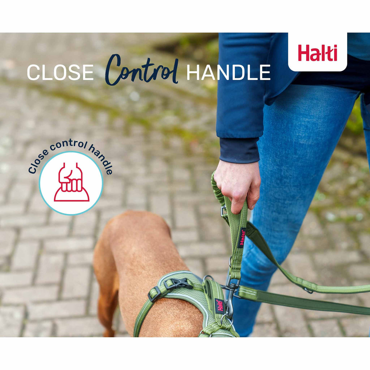 Halti Anatomy Dog Multi Lead - Magenta