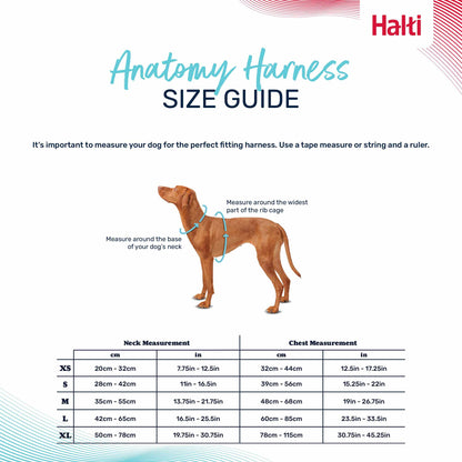 Halti Anatomy Dog Harness - Grey