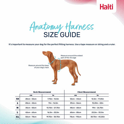 Halti Anatomy Dog Harness - Teal