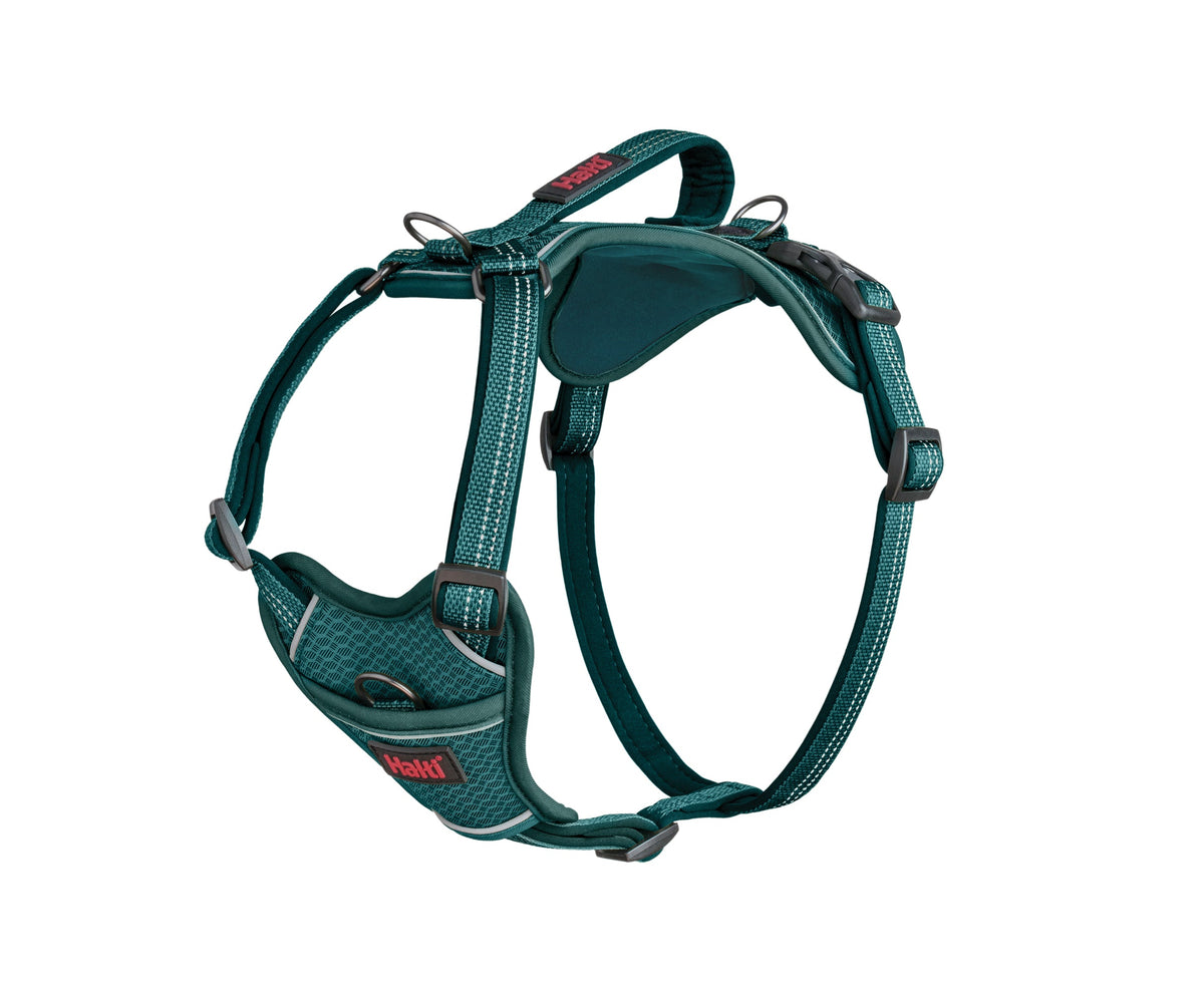 Halti Anatomy Dog Harness - Teal