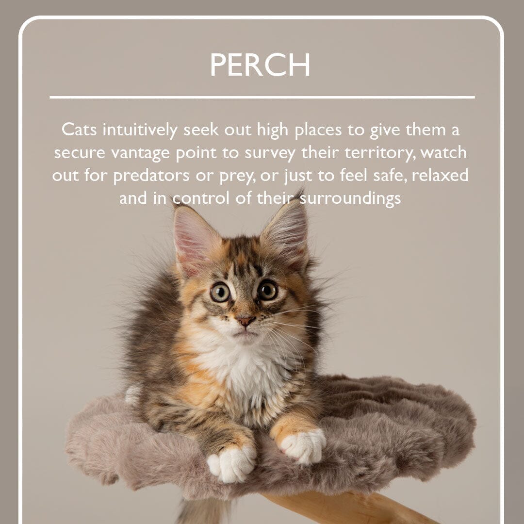 Scruffs Alpine Pyrenees Cat Tree - Taupe
